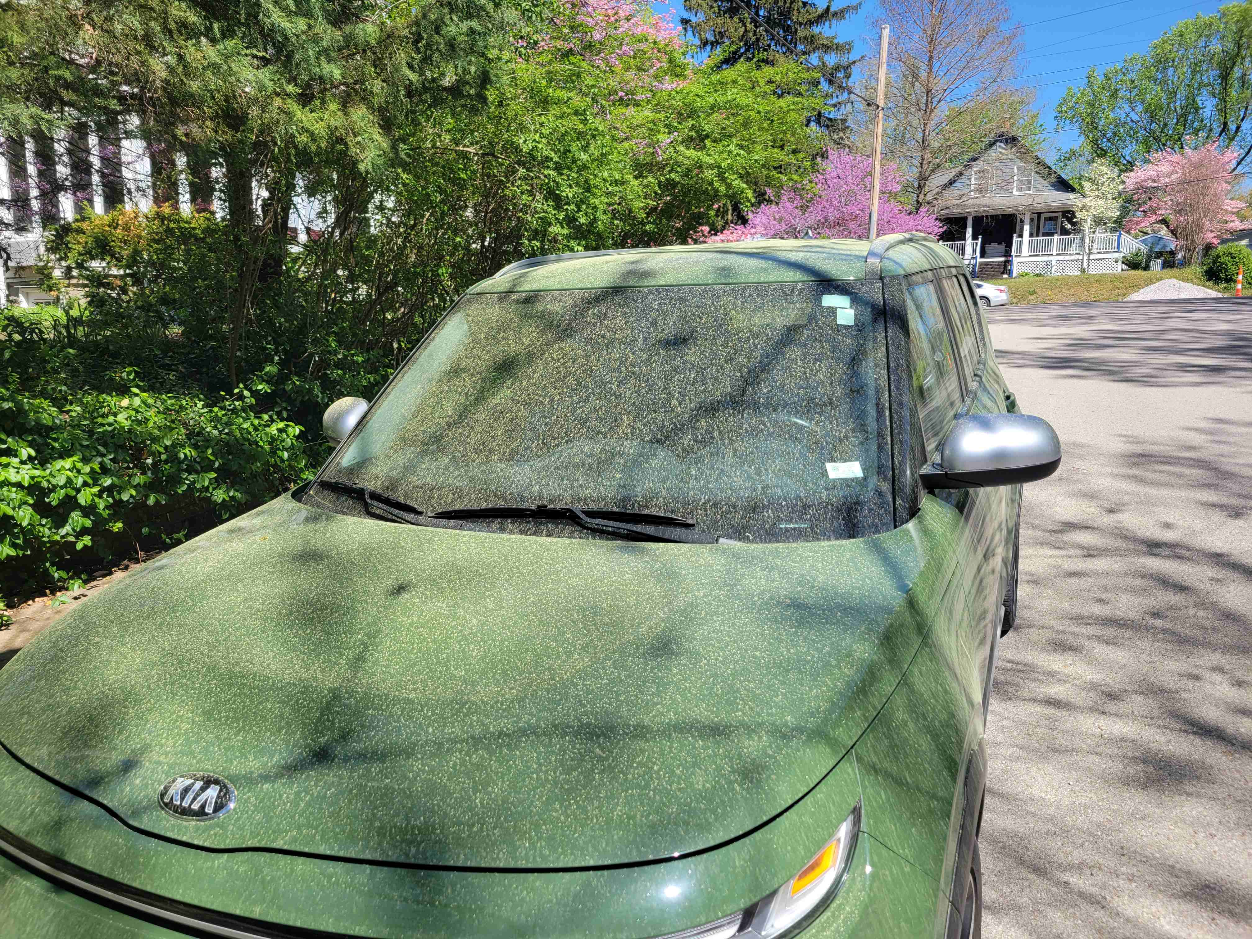 2023-04-14 WG pollen.jpg